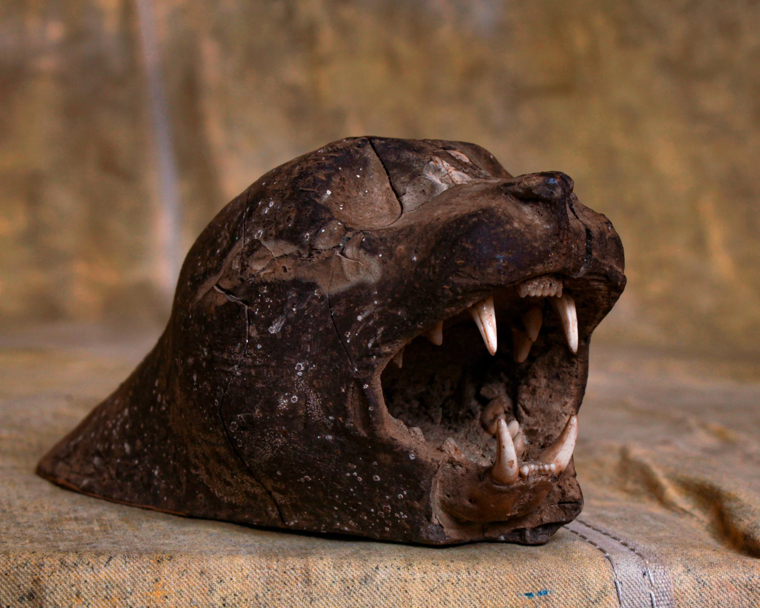 Jaguar antique head