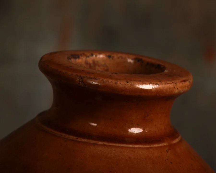 Tennessee Moonshine jug-7.jpg