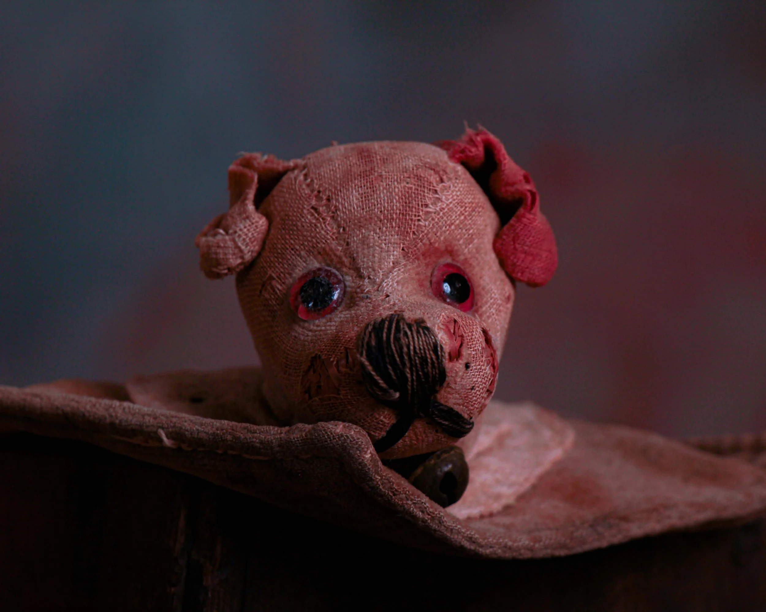 Dog ink pen wipe-7.jpg