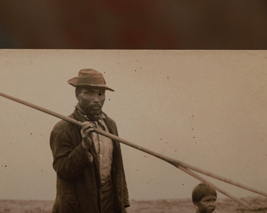 Seal photography-5.jpg