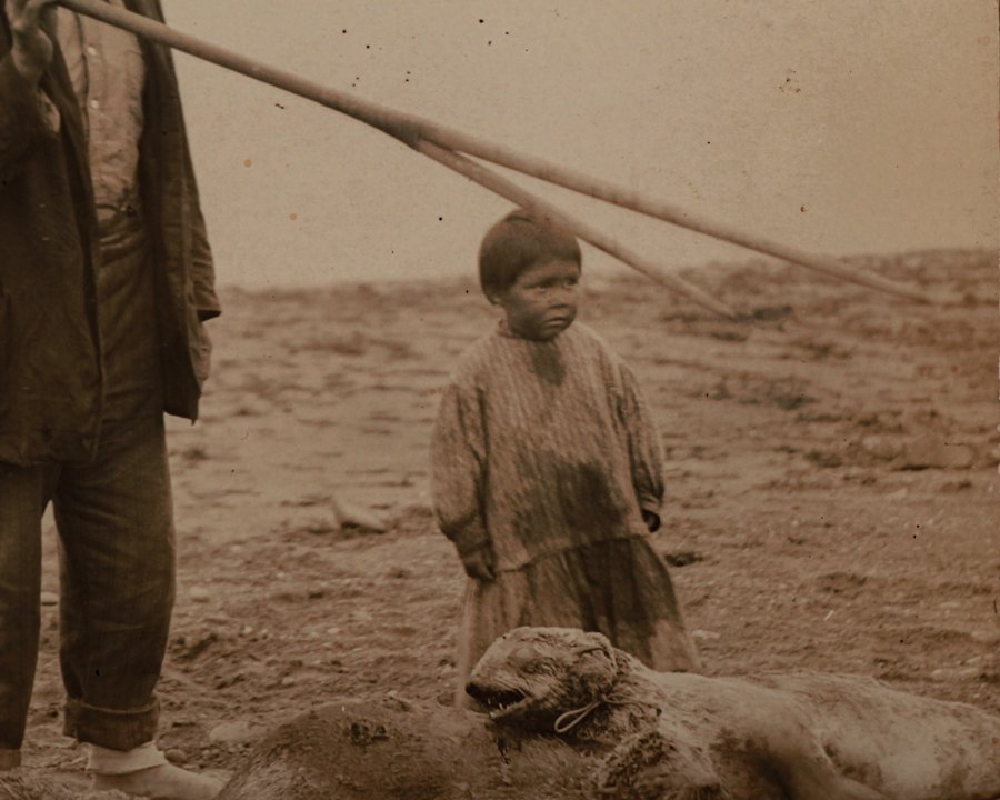 Seal photography-4.jpg