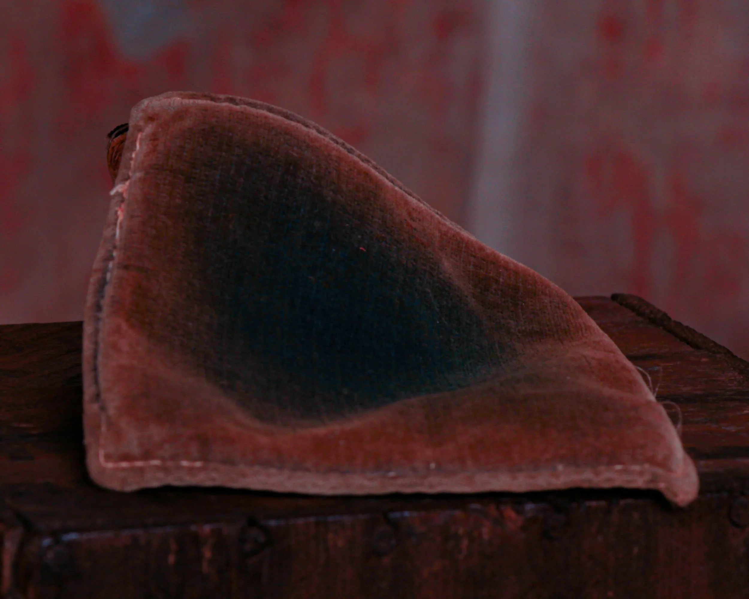 Dog ink pen wipe-3.jpg