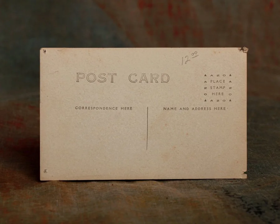 Seal photography-7.jpg