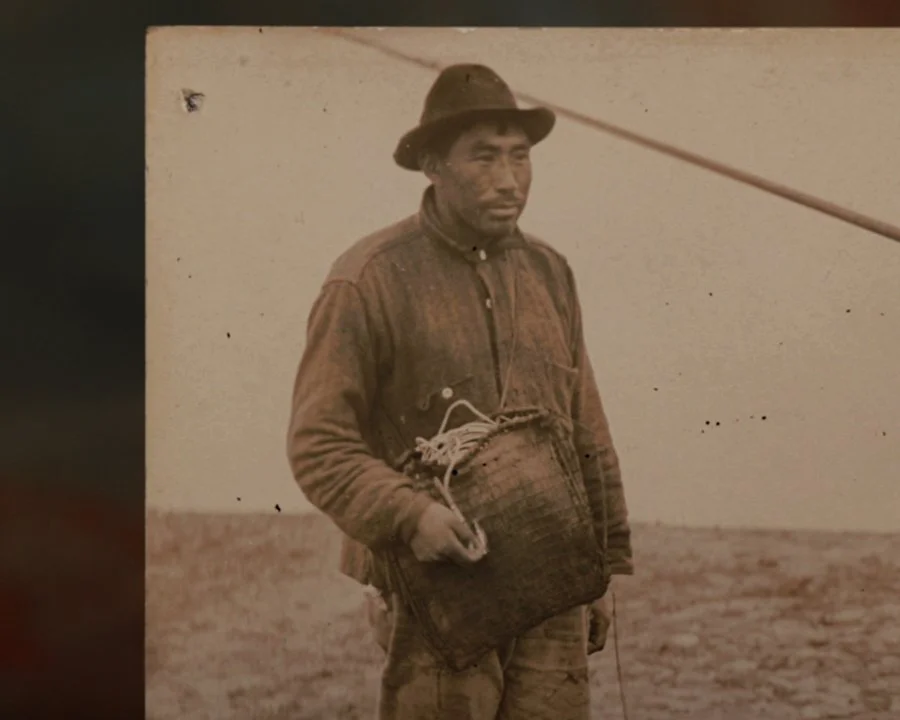 Seal photography-6.jpg