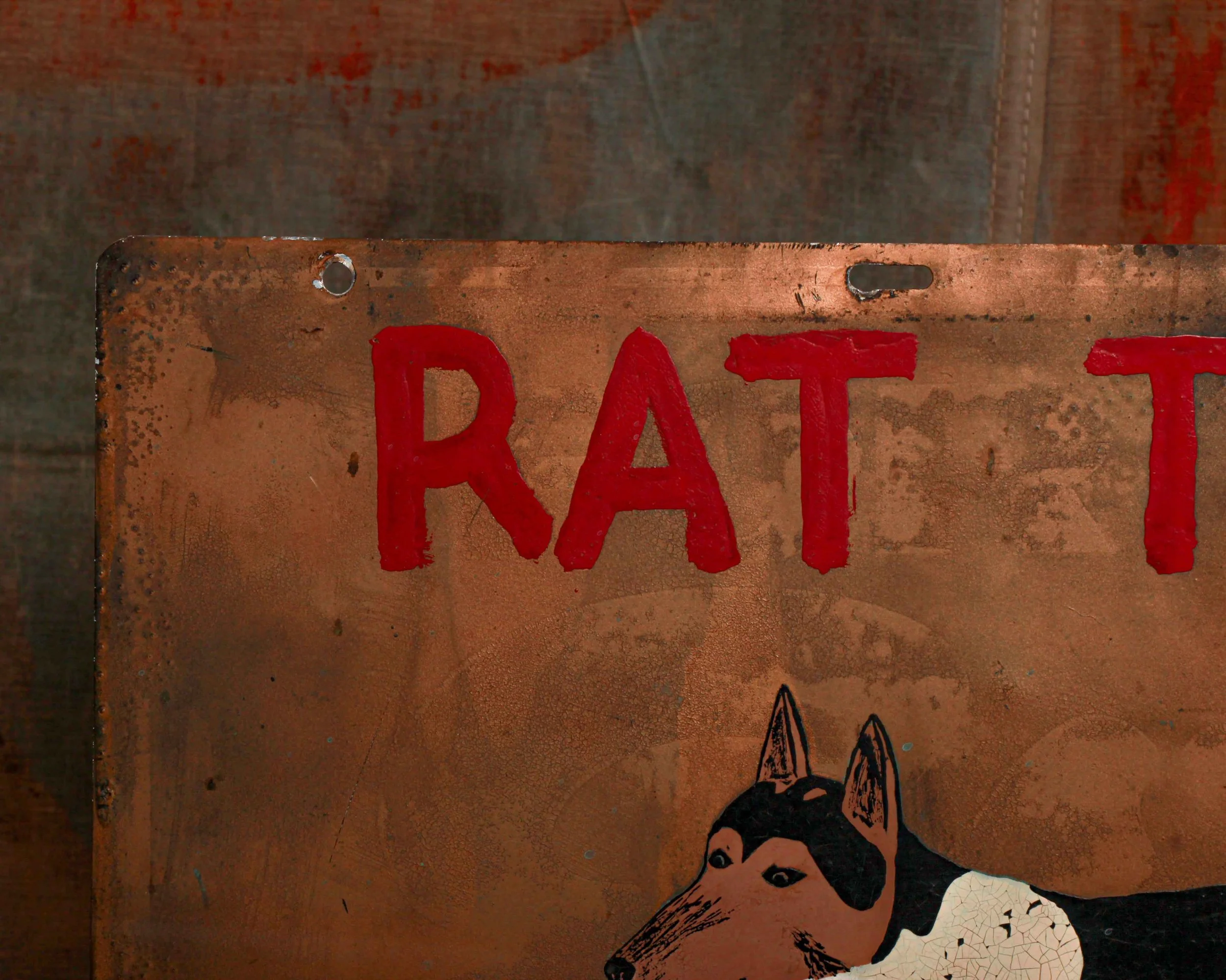 rat-terrier-dog-sign-8.jpg