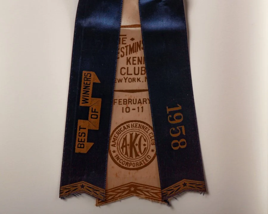 Gordon setter ribbon contest-3.jpg