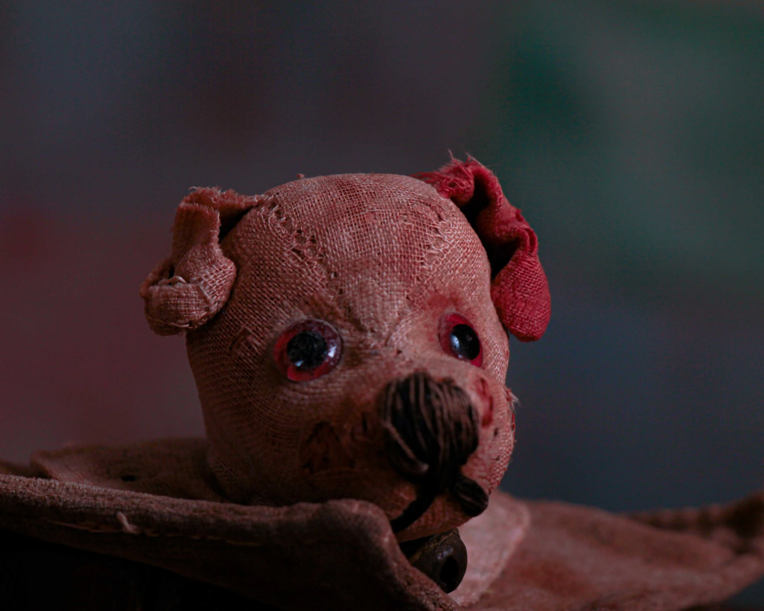 Dog ink pen wipe-9.jpg