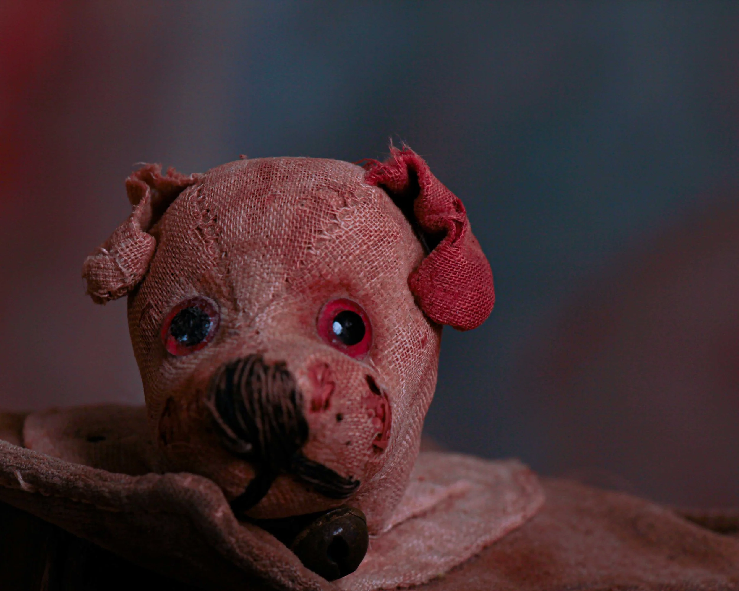 Dog ink pen wipe-8.jpg