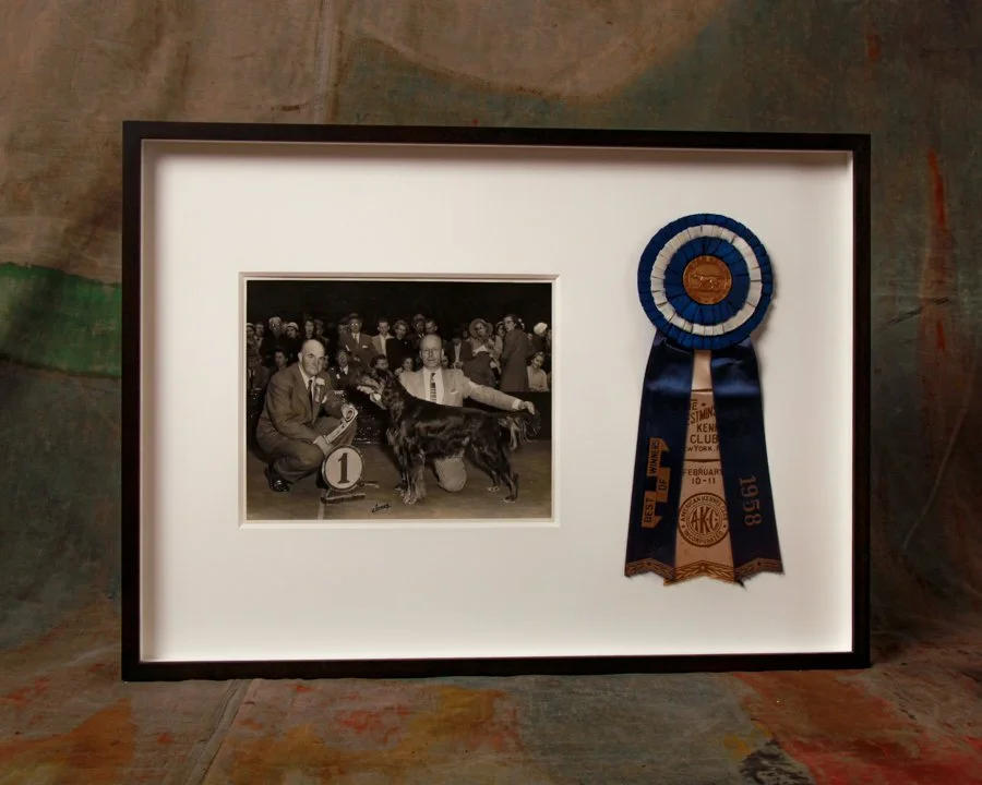 Gordon setter ribbon contest.jpg