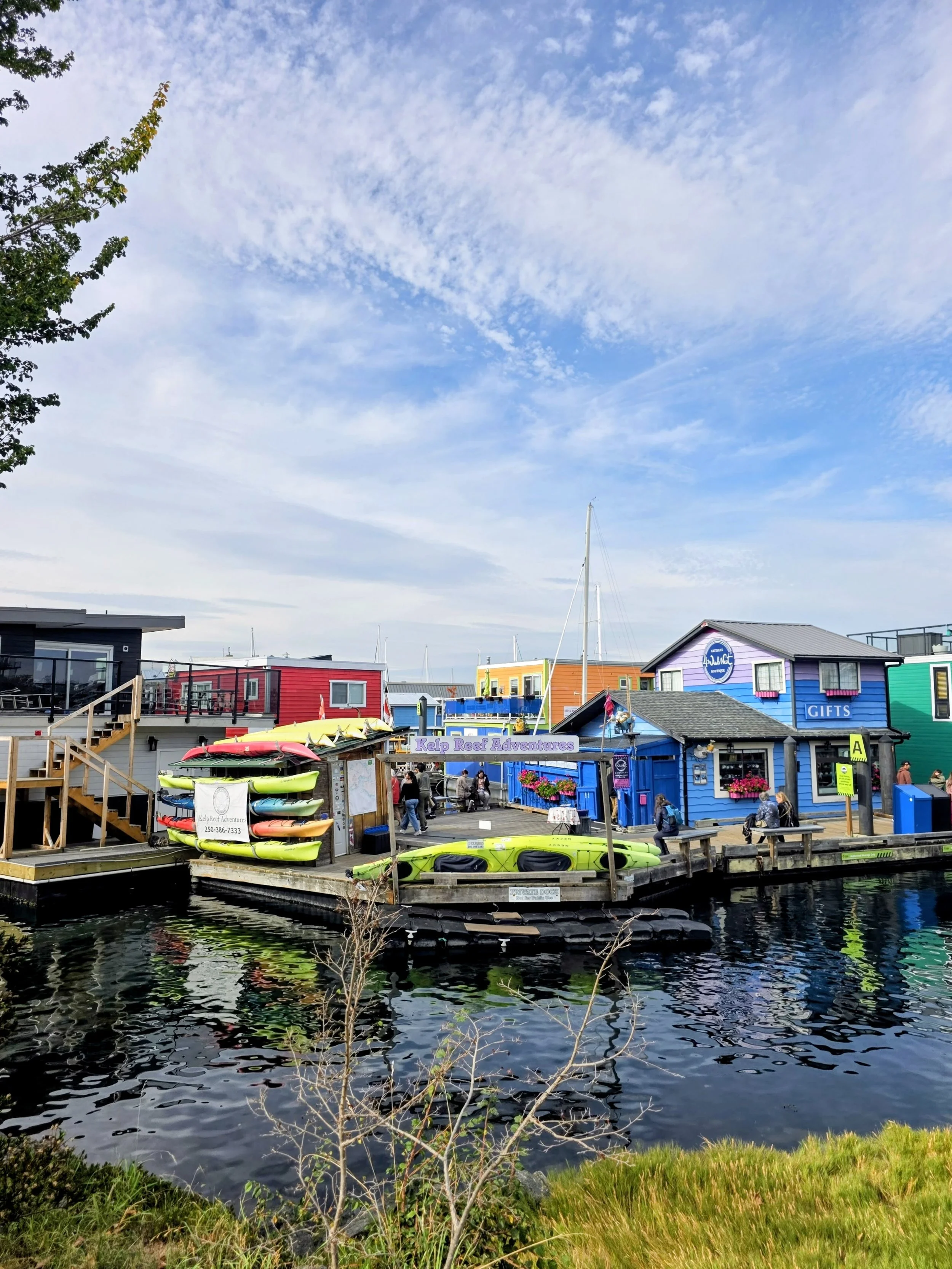 The Founder’s Guide to Dodging Scams: A Side B Perspective