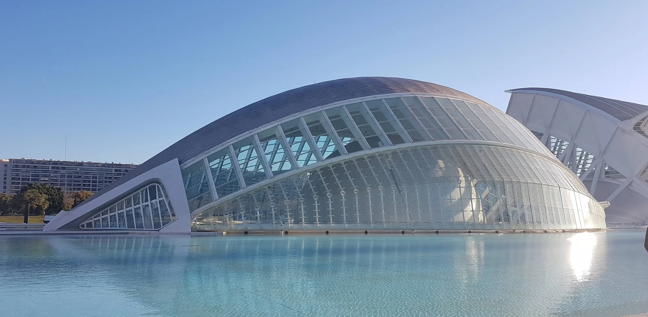 City of Arts and Sciences representing the intersection of structure (Hard Ops) and design (Soft Ops).