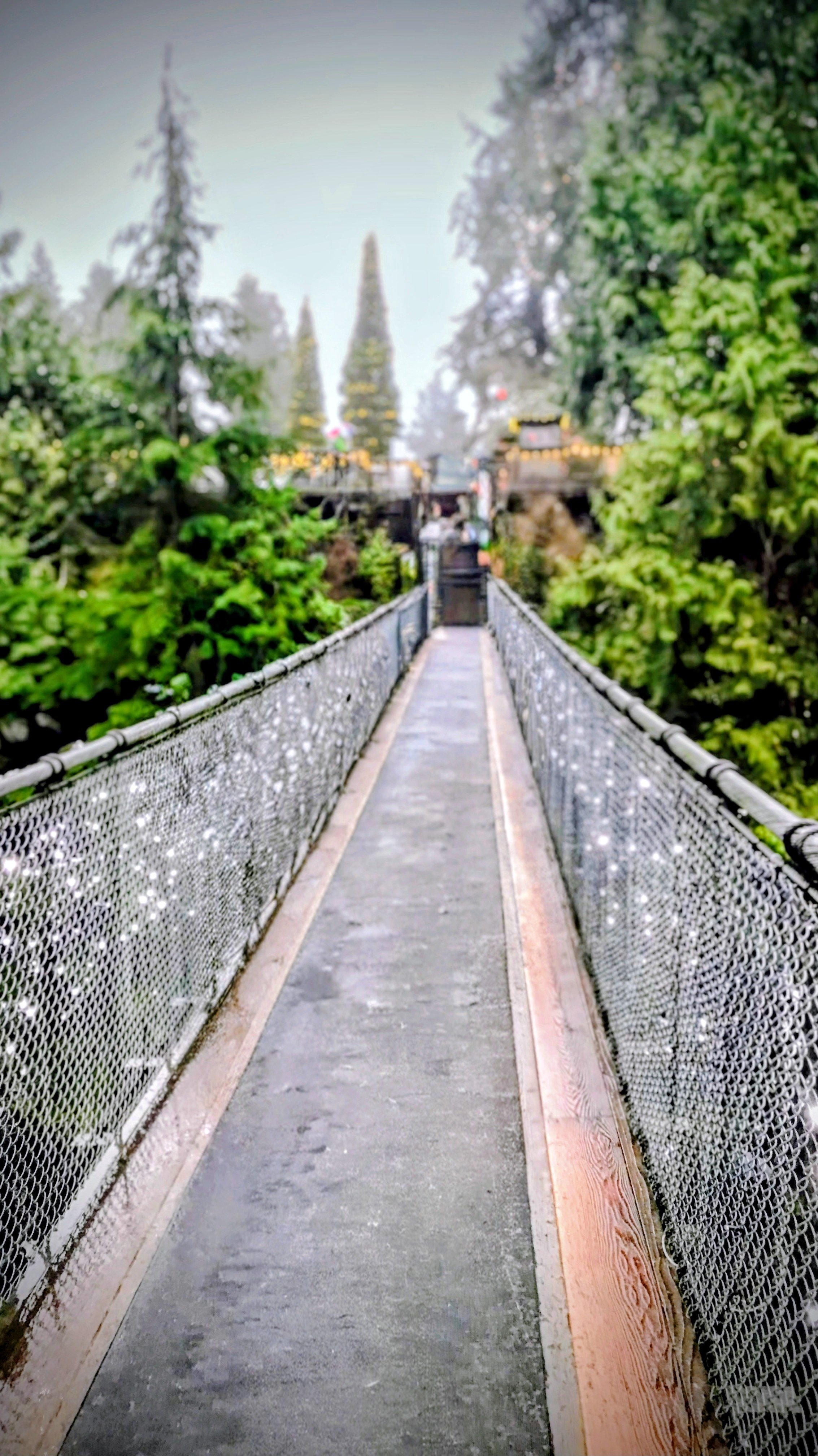Suspension bridge symbolizing the connection between operational strategy and human behavior.