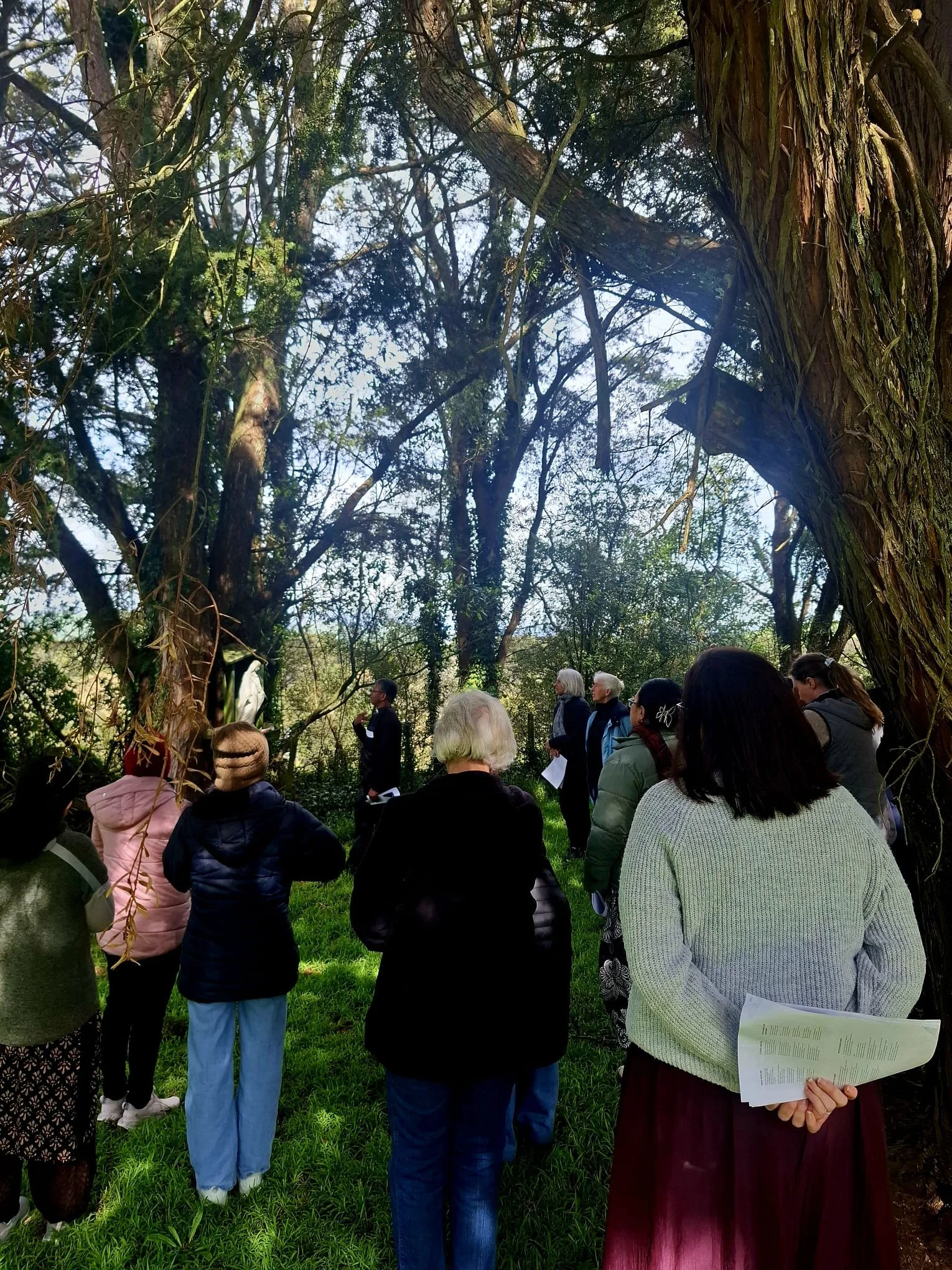 The Well — Catholic Women's Group