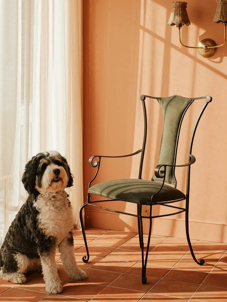 some things never go out of style, like wrought iron and a furry friend by your side. 🐾

a set of four vintage dining chairs, newly reupholstered in soft sage green velvet. timeless and made to bring a little old-world character to the table.

desig