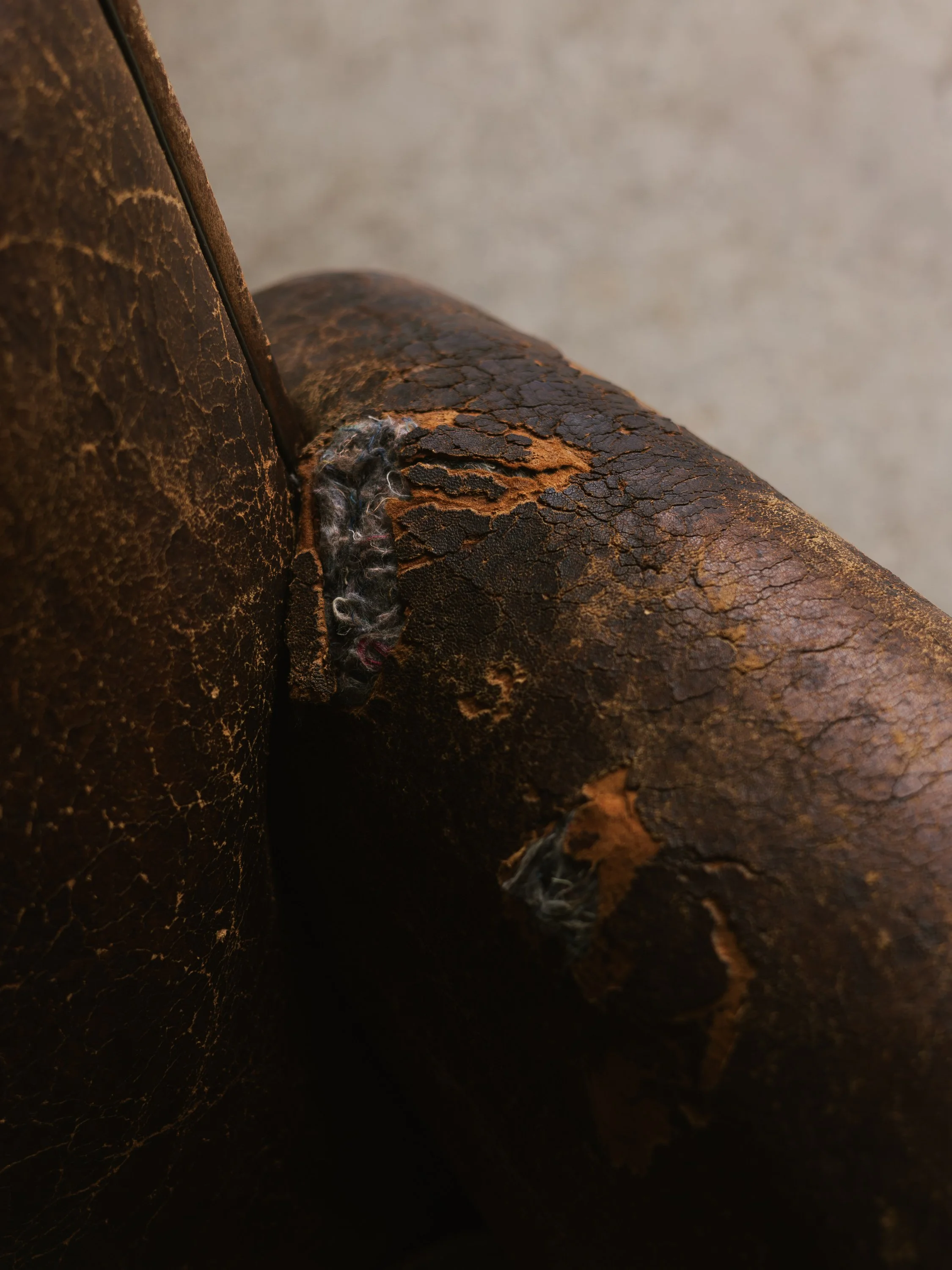 The Catalogue 4;3-5.jpg