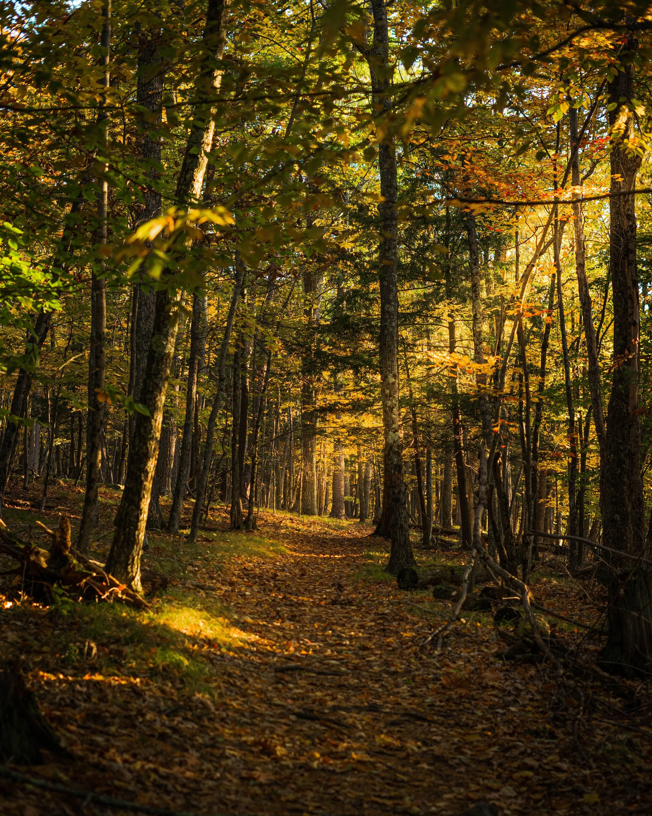 cooperstown22 (12 of 45).JPG