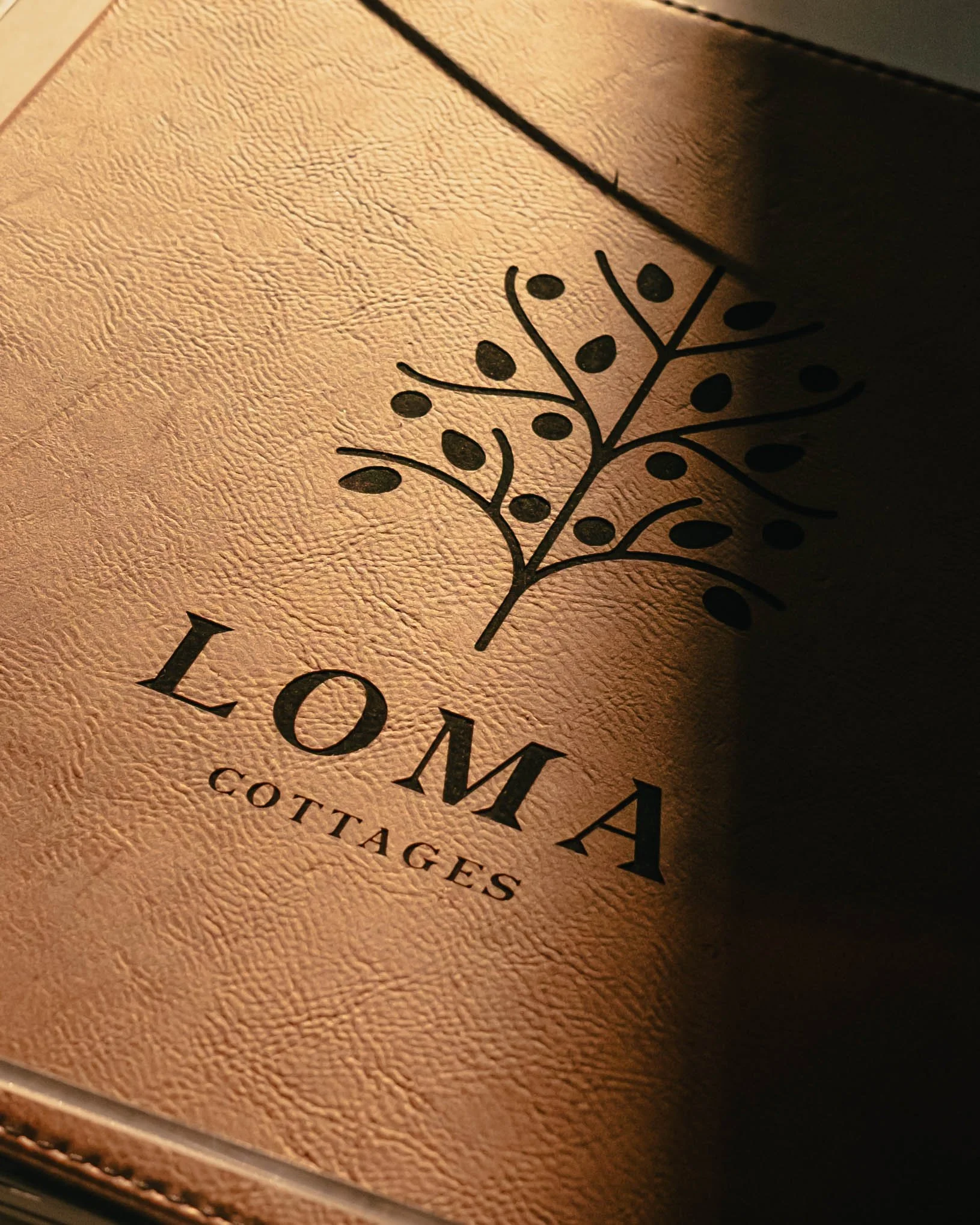 LOMA SUMMER 2026-7.jpg