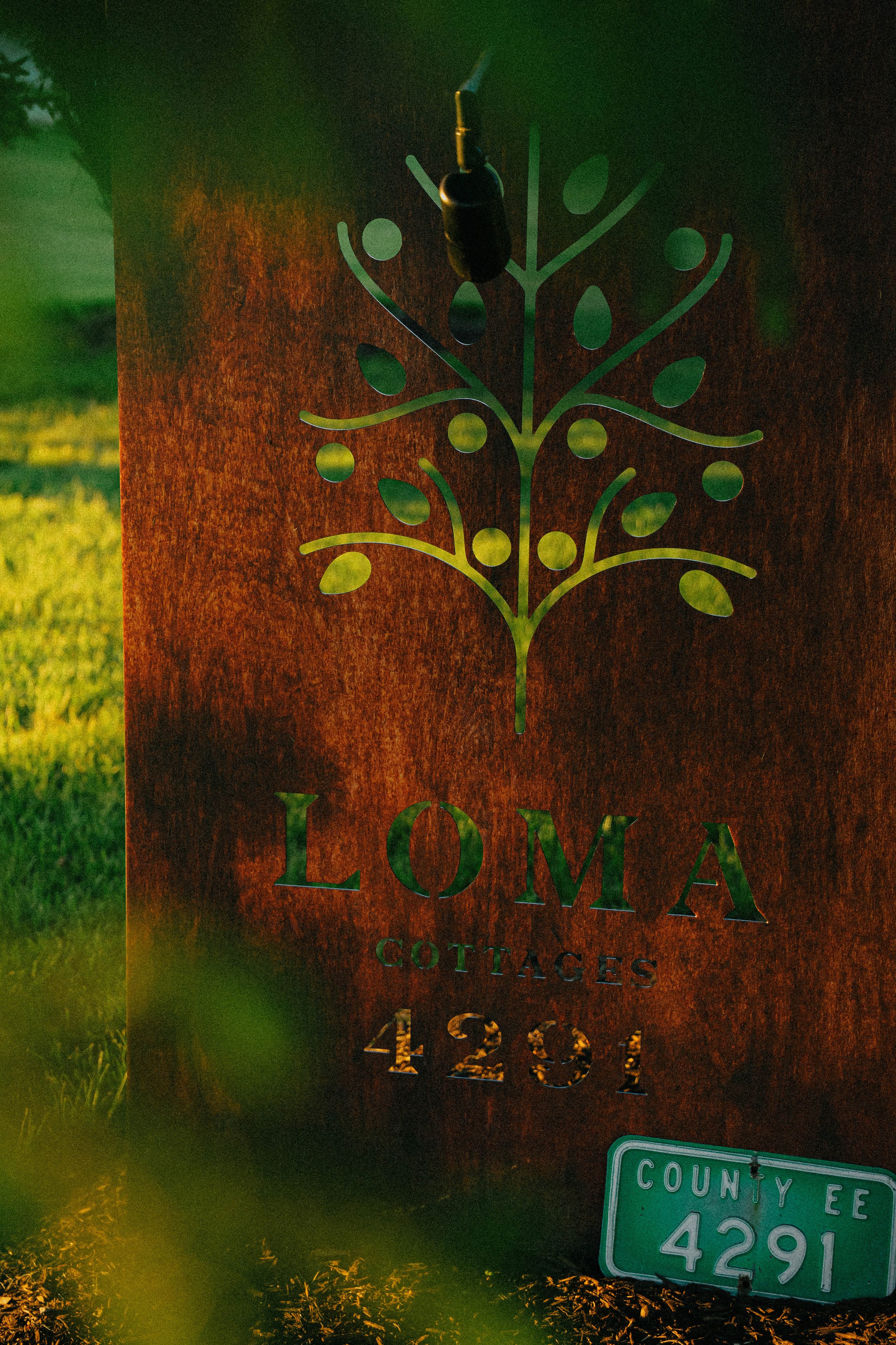 Loma Summer-23.jpg