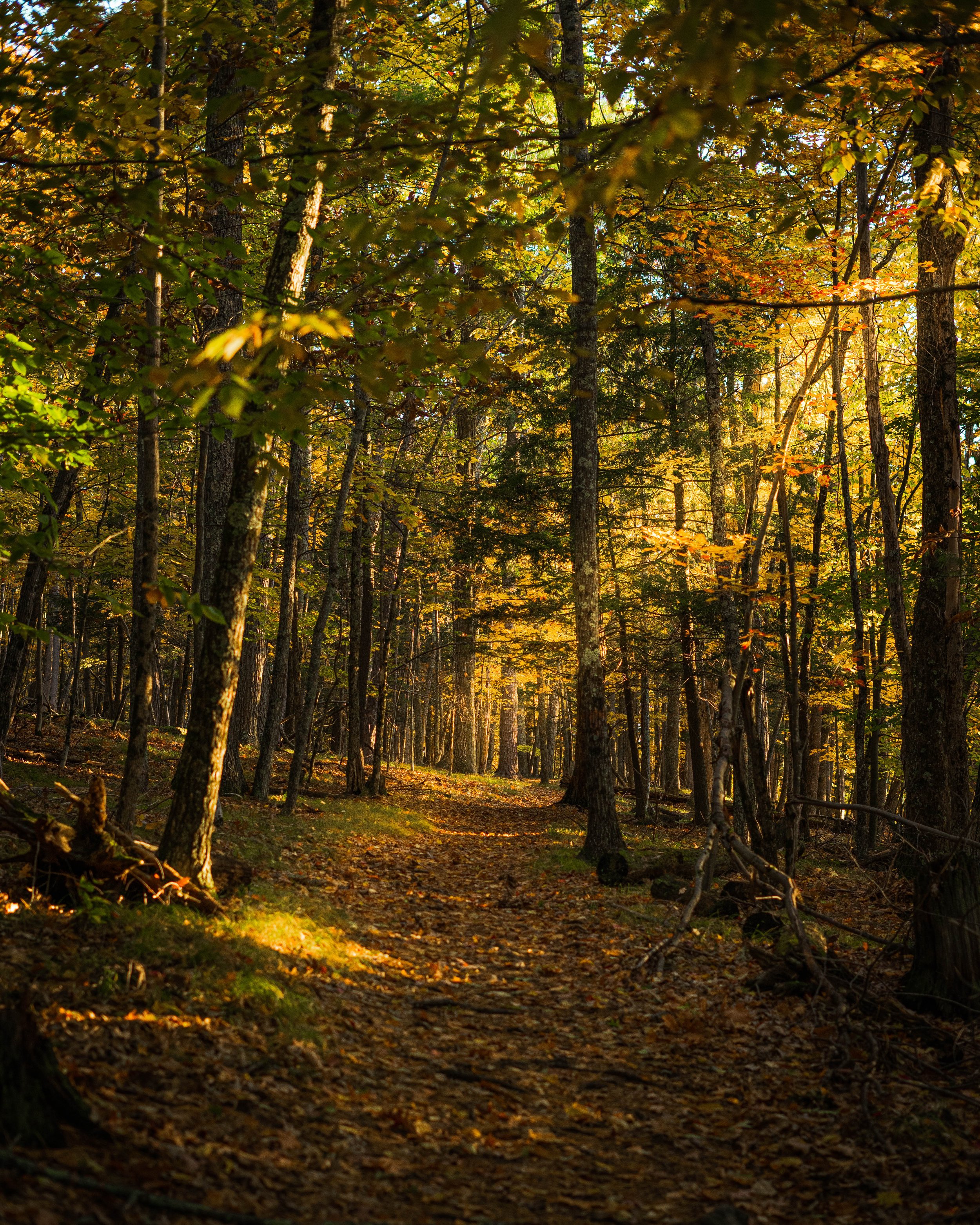 cooperstown22 (12 of 45).JPG