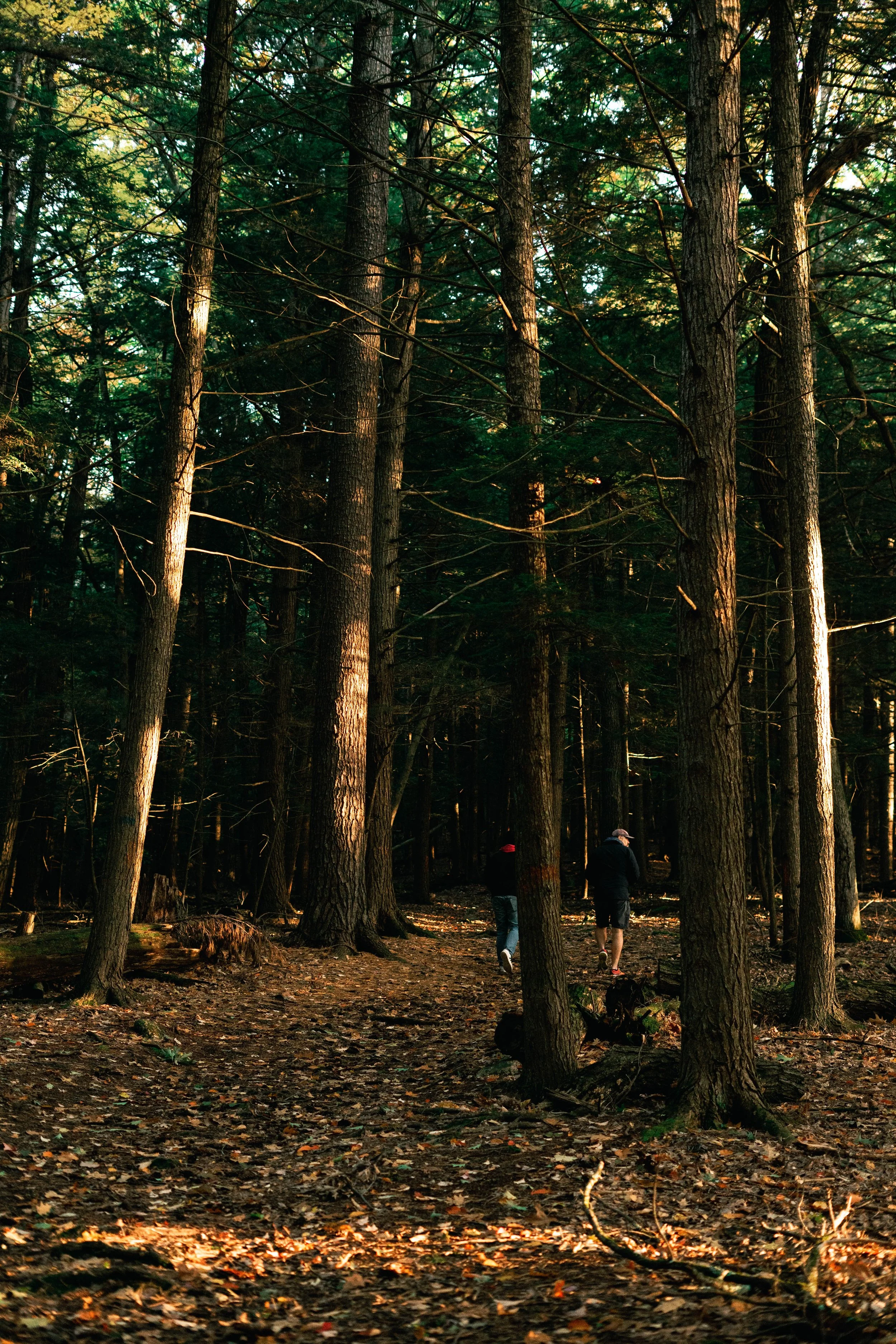 cooperstown22 (11 of 45).JPG