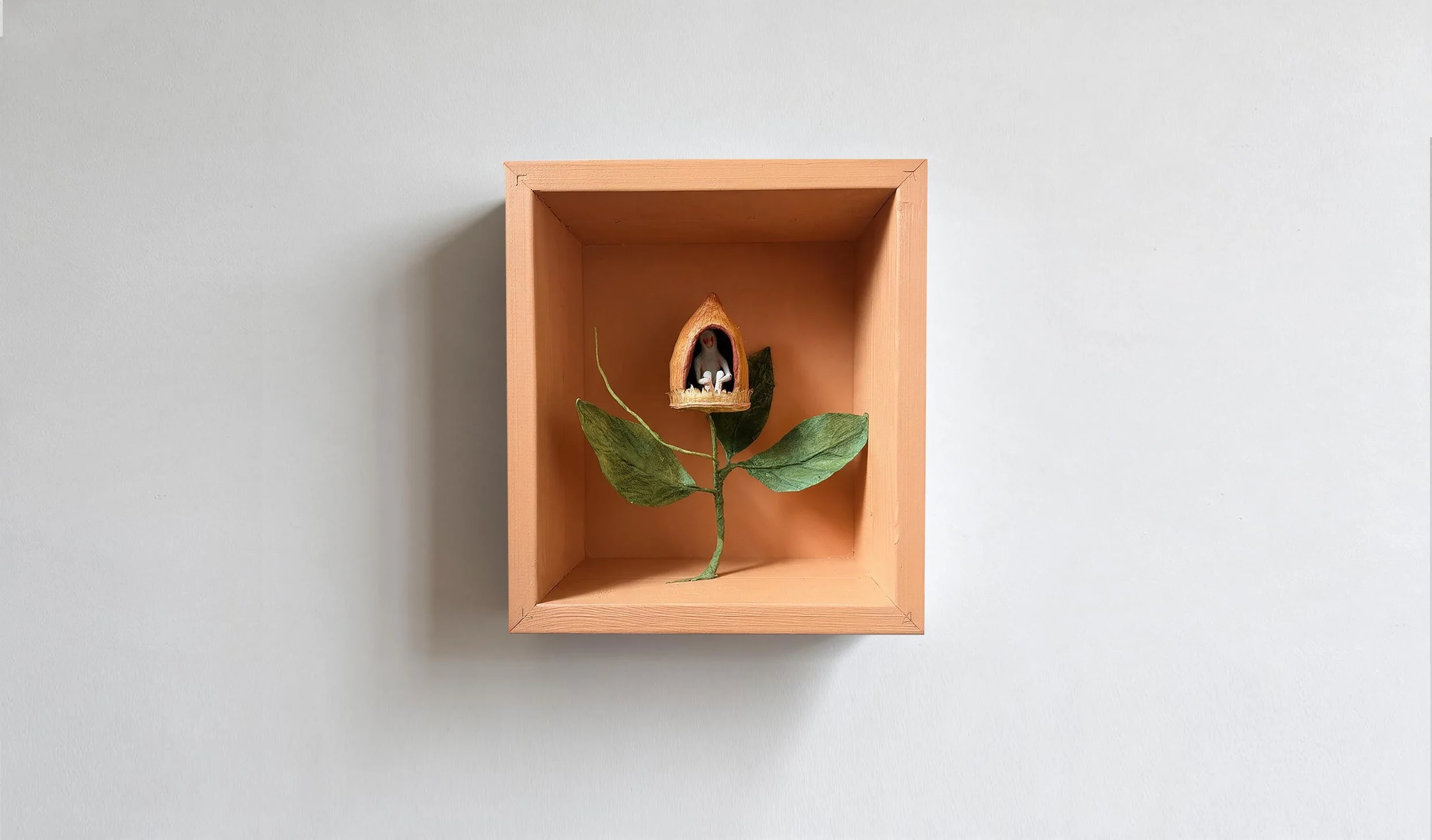 A Conversation with Nature——Shelter