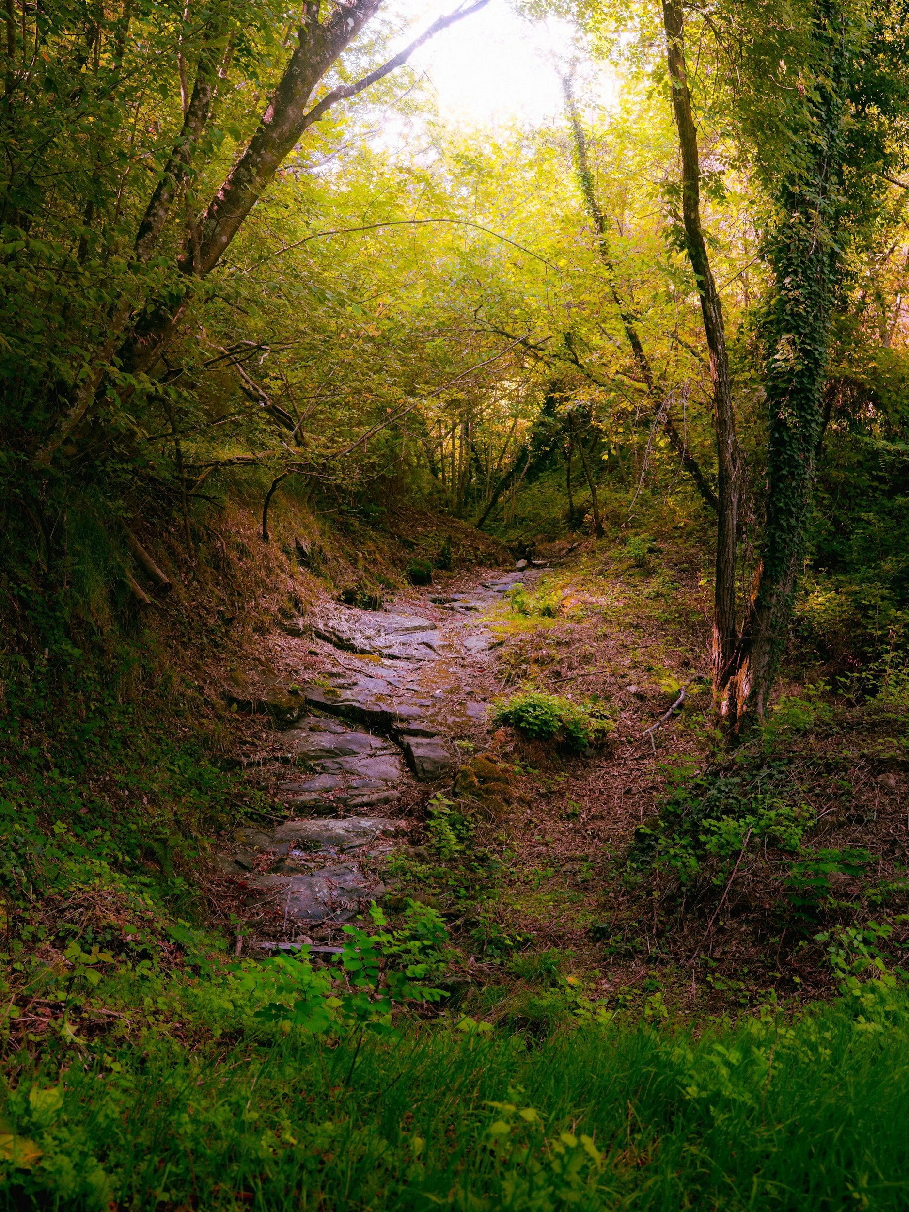 Svizzera Pesciatina: What to See and Itineraries Through Tuscany's Most Charming Villages