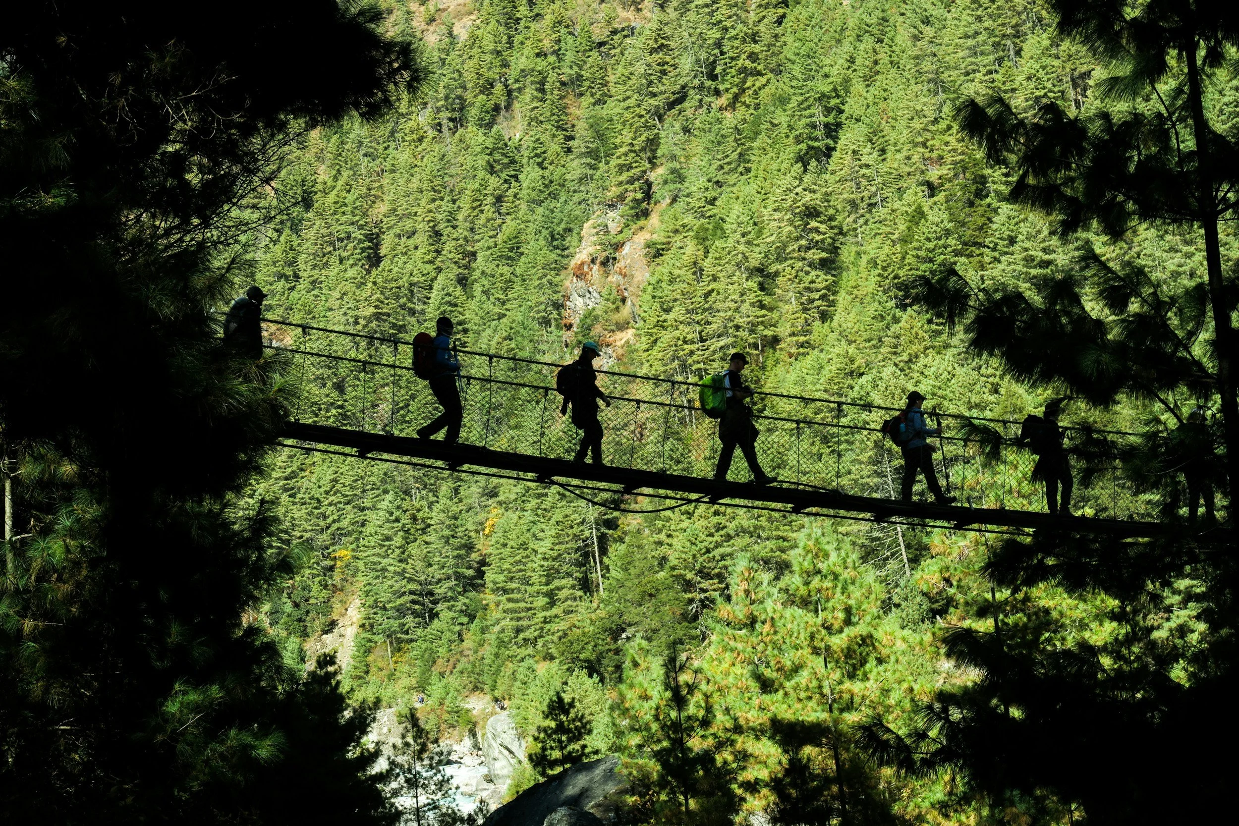 The Ferriere Suspension Bridge: A Walk Above the Treetops in the Heart of Tuscany