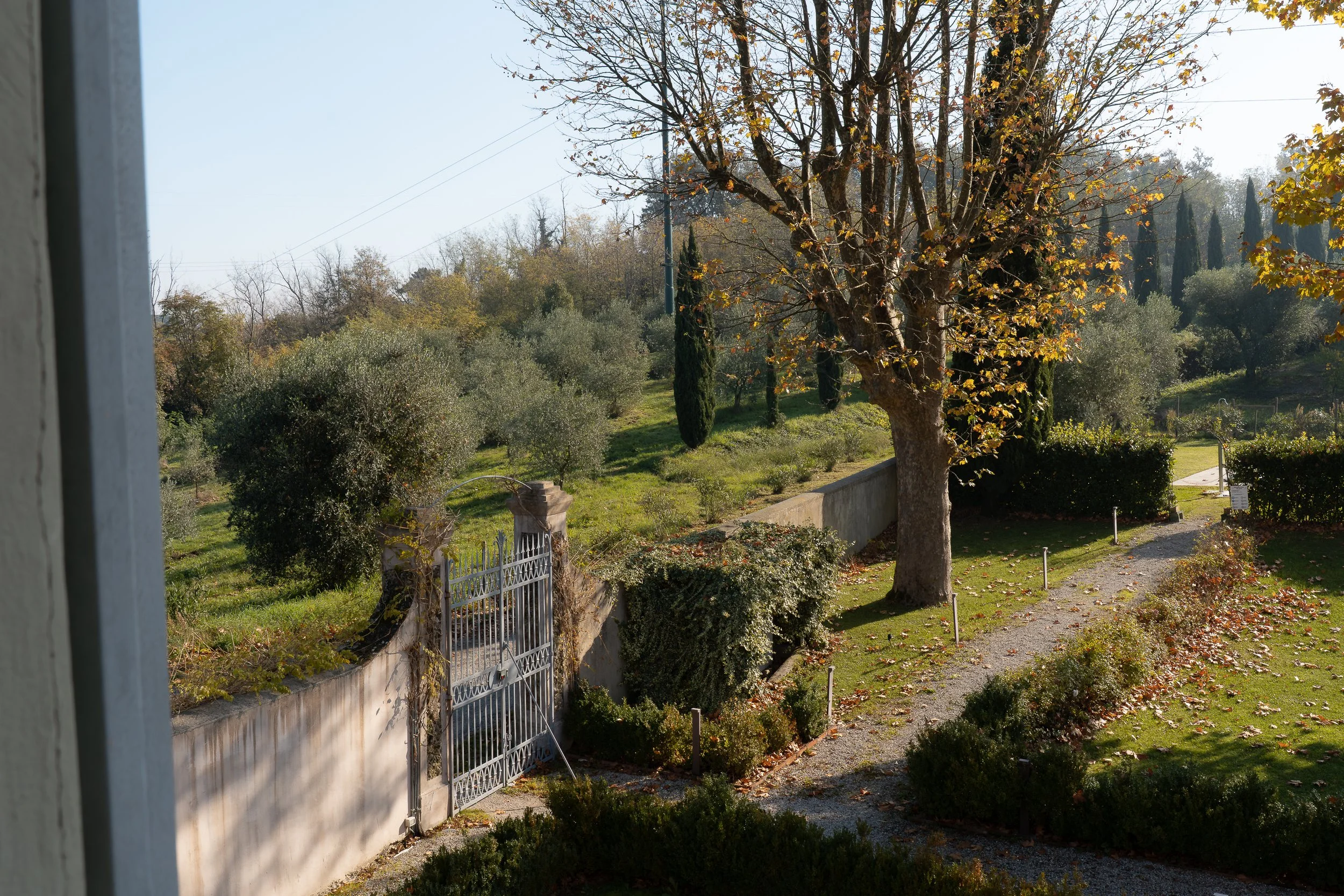 A view of a garden with a stone pathway, large trees, bushes, and a metal gate in the foreground, with hills and more trees in the background during fall.