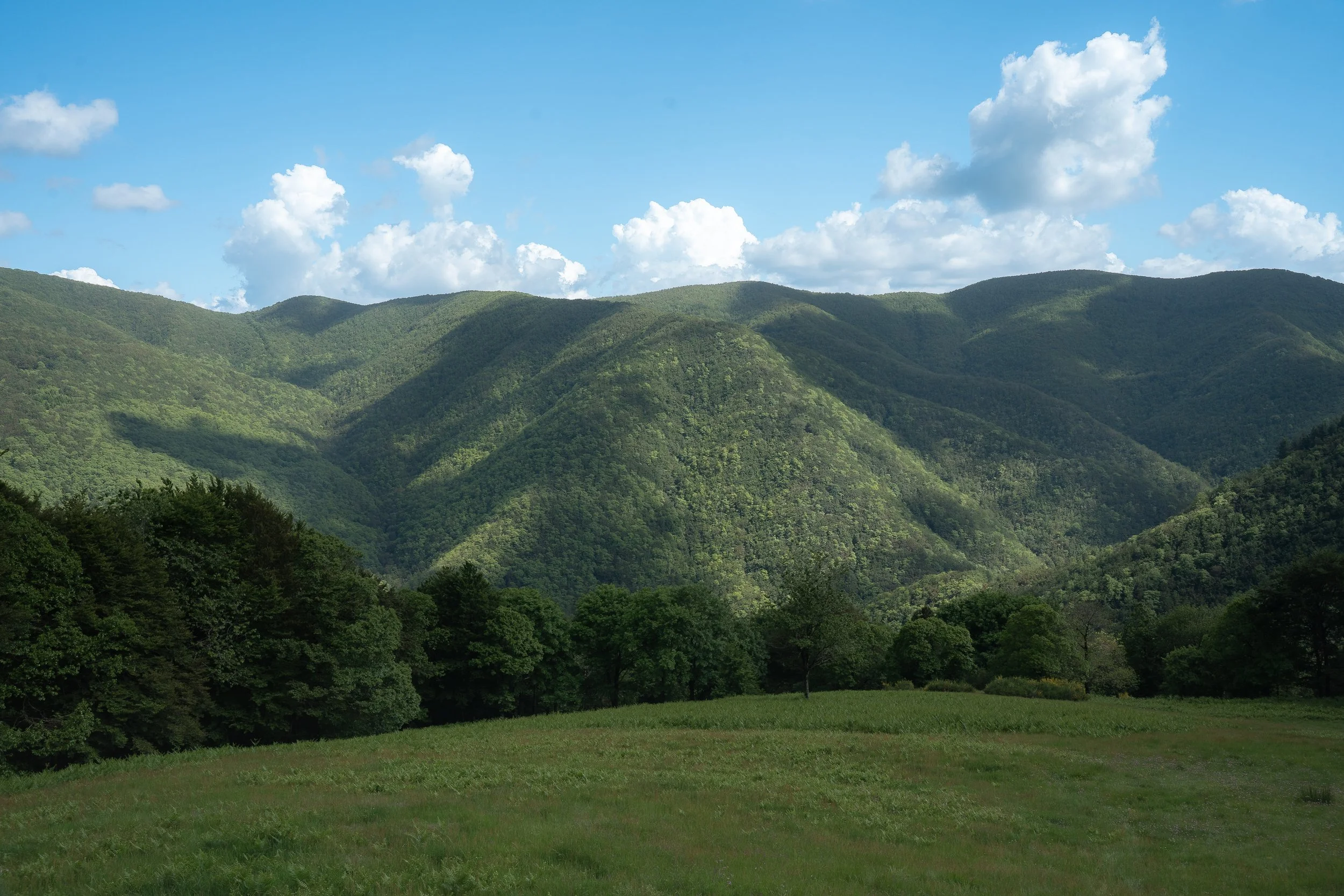 Green, forested mountains under a partly cloudy sky