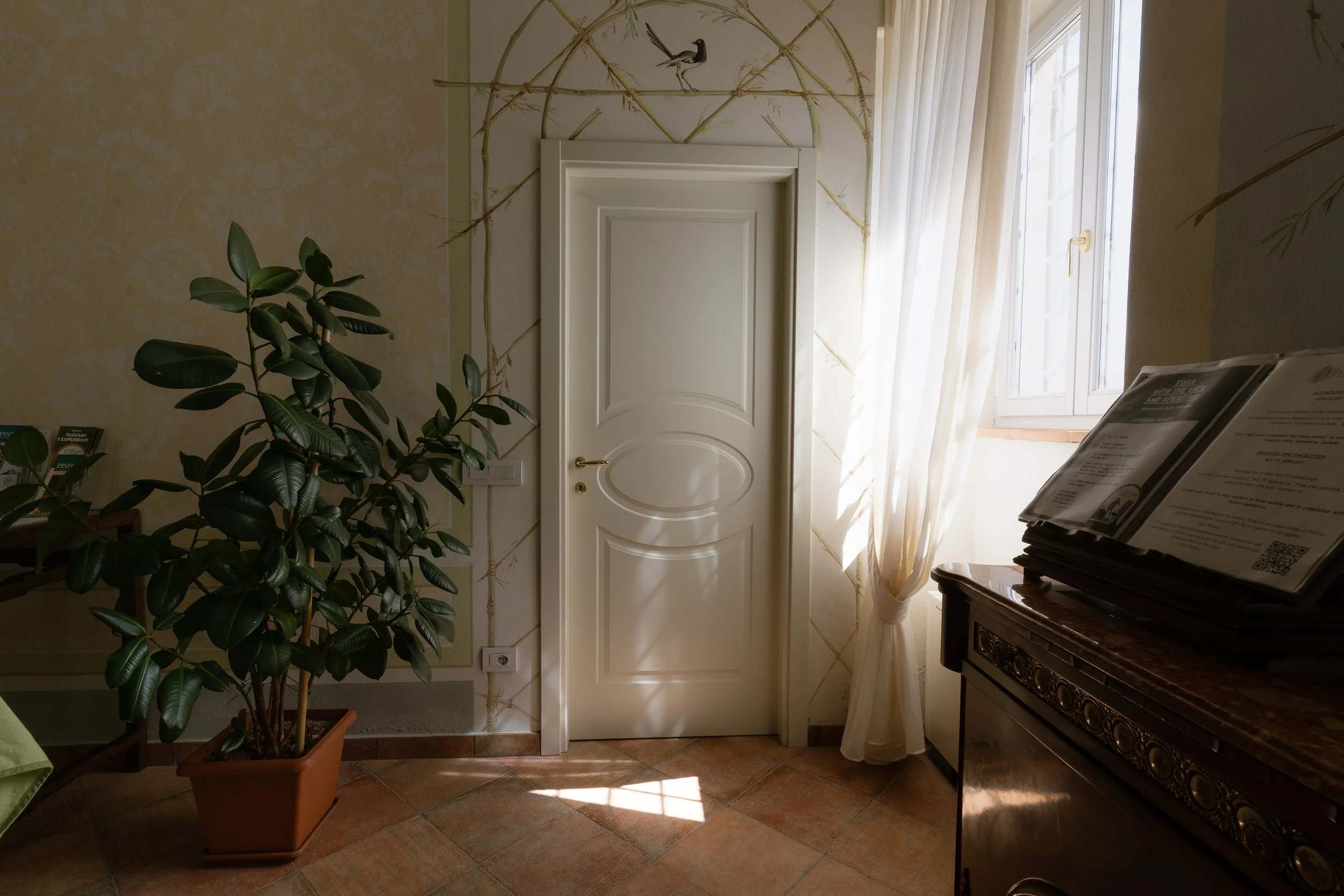 Interior view of a room with a closed white door, a large potted green plant, a window with white curtains, and a wooden cabinet with papers on top. Sunlight streams through the window.