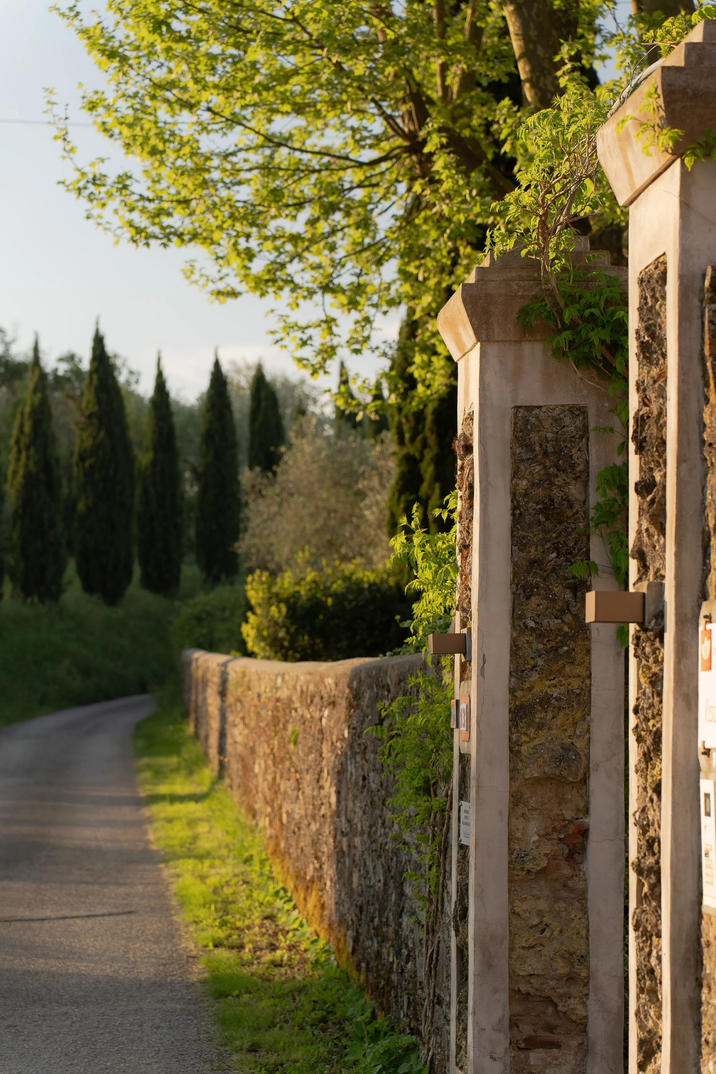 A stone wall and pathway beside a garden with tall green trees and shrubs, under a bright blue sky with sunlight.
