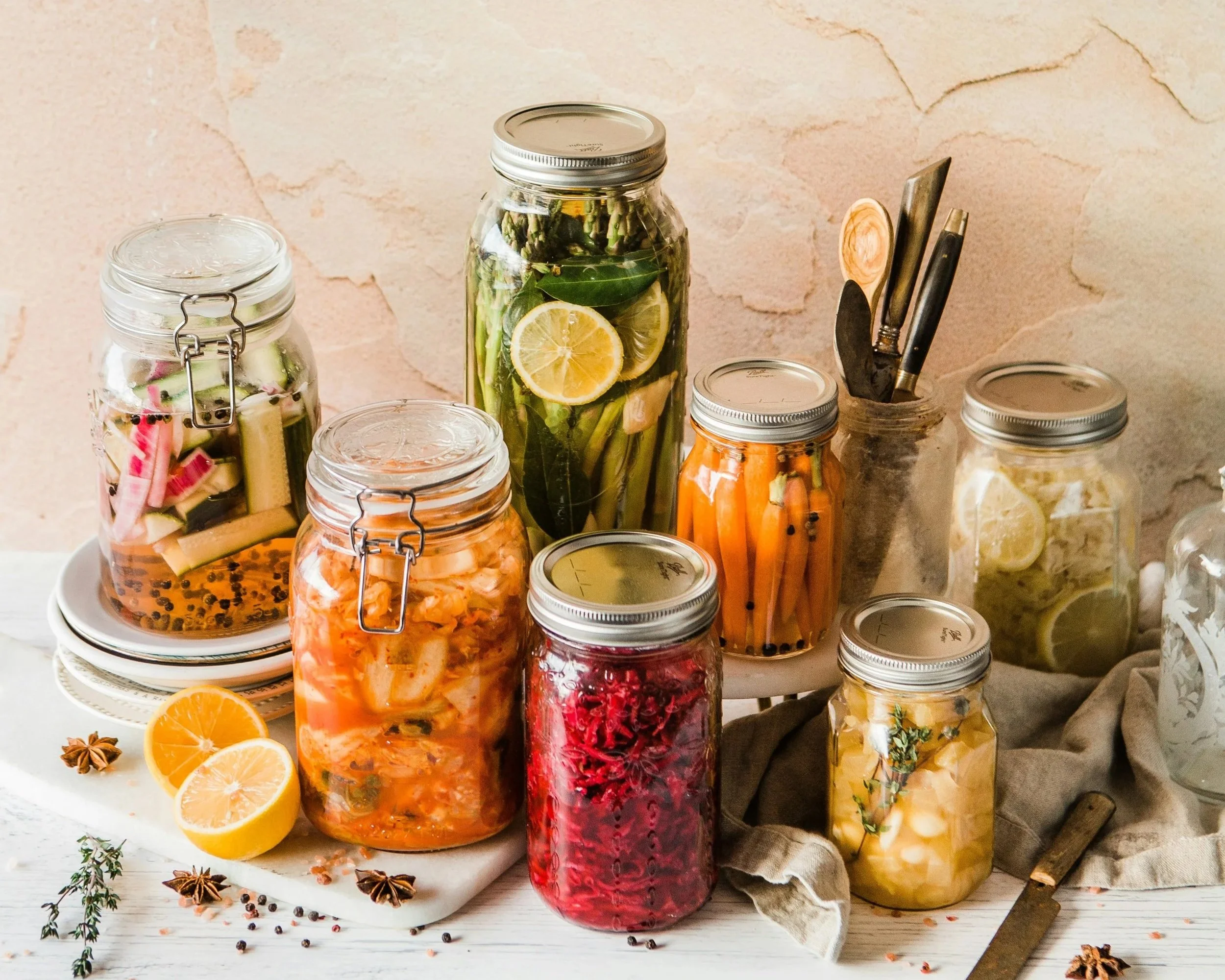 Plants and Cultures – Fermentation Foundations