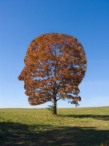 De-transcendentalizing the secular