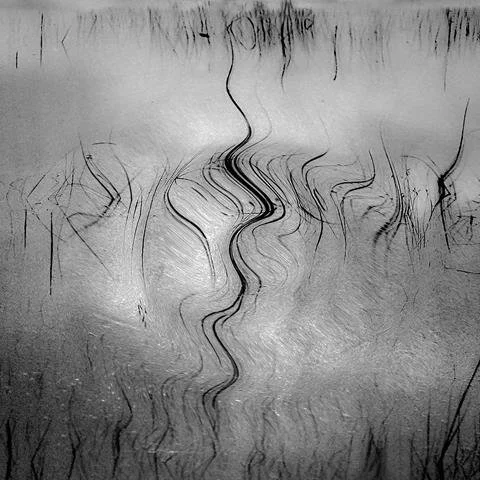 Or &amp; Shadows and Openings