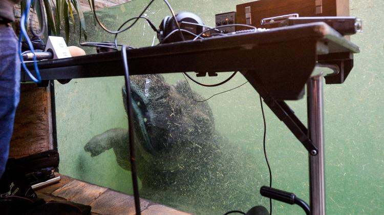 An Interview with Notnef Greco