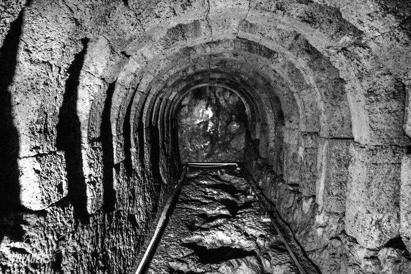 Μυρμήγκια στο νεκρομαντείο