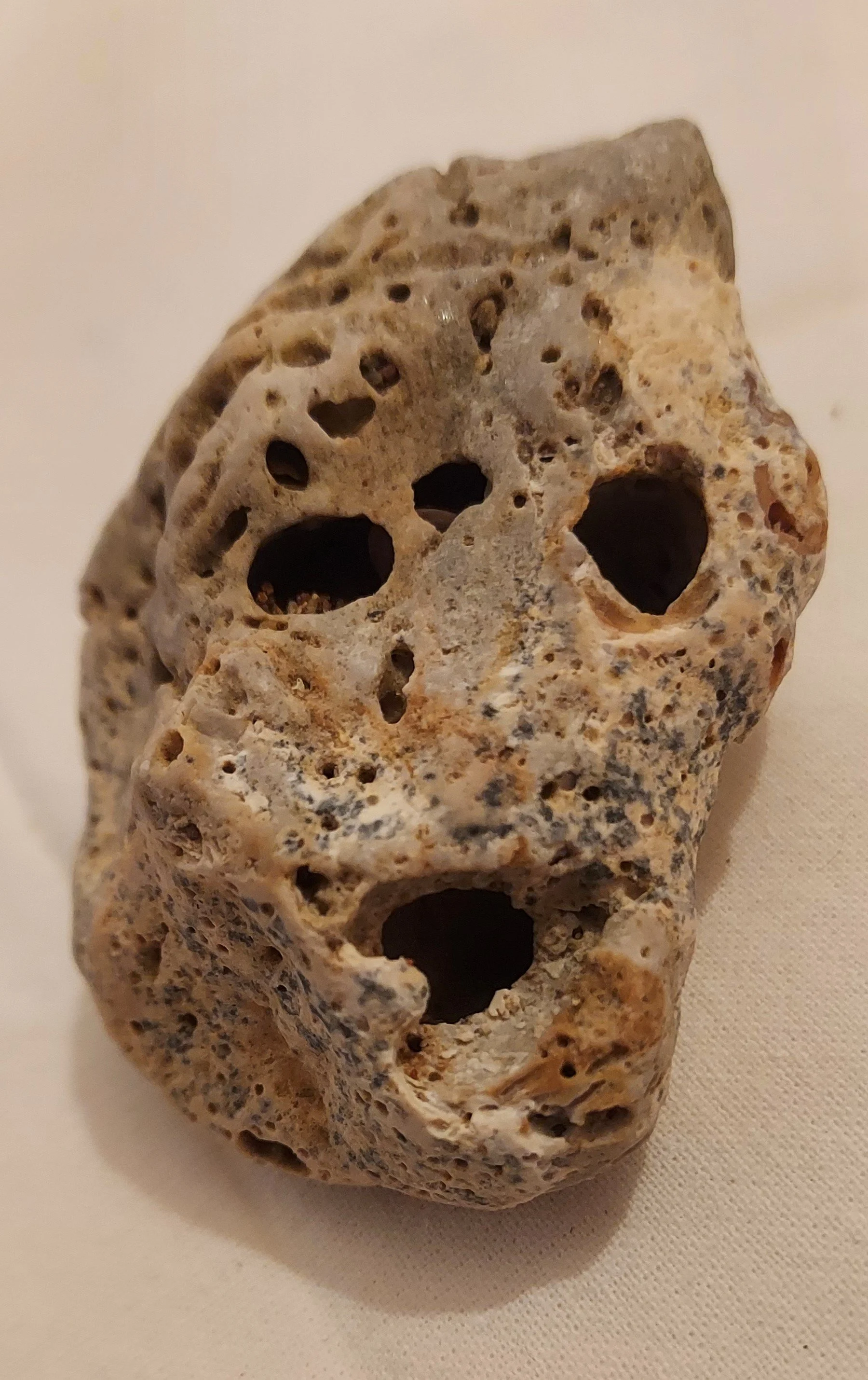 Ο ποιητής της εβδομάδας