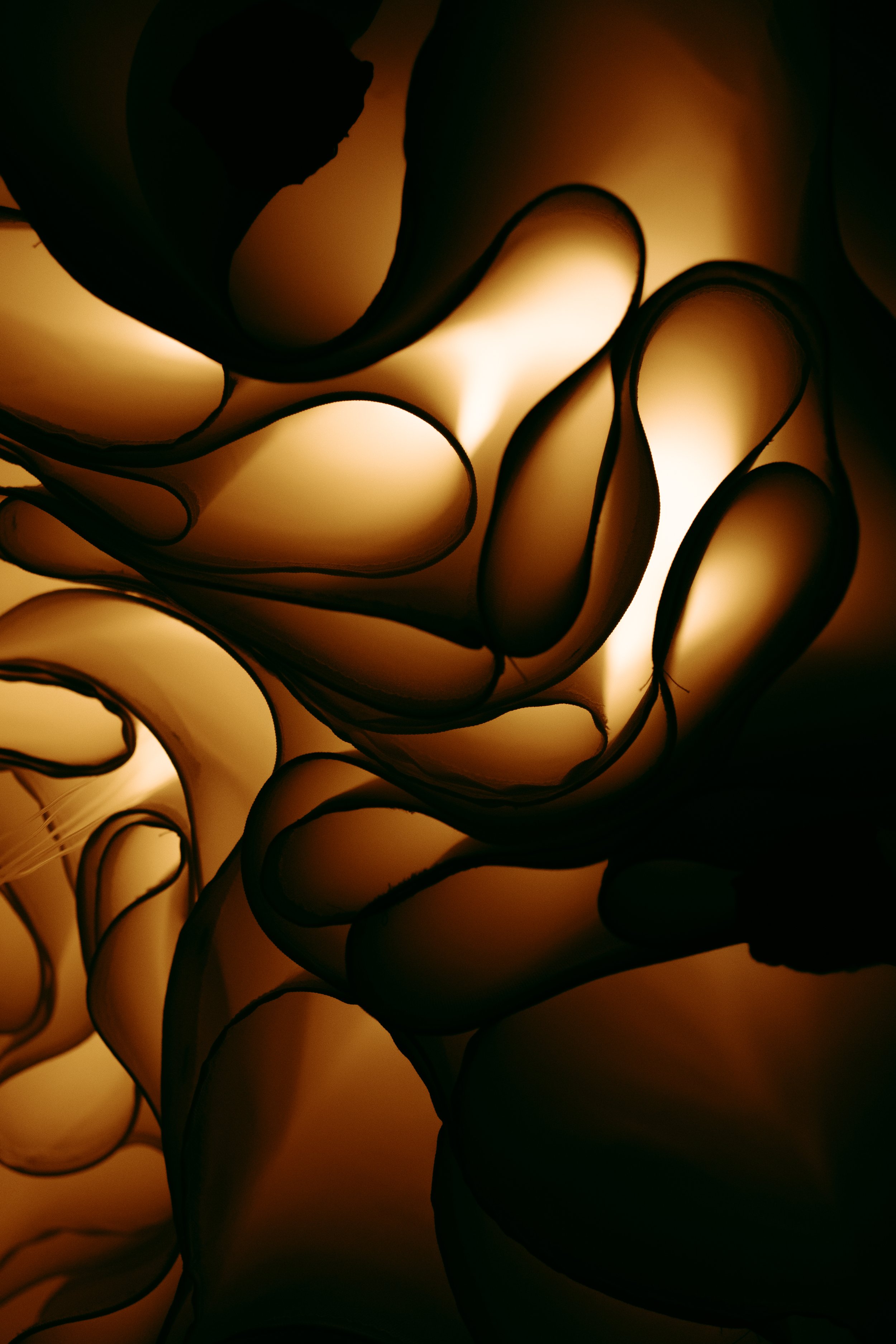 DSCF2569.JPG