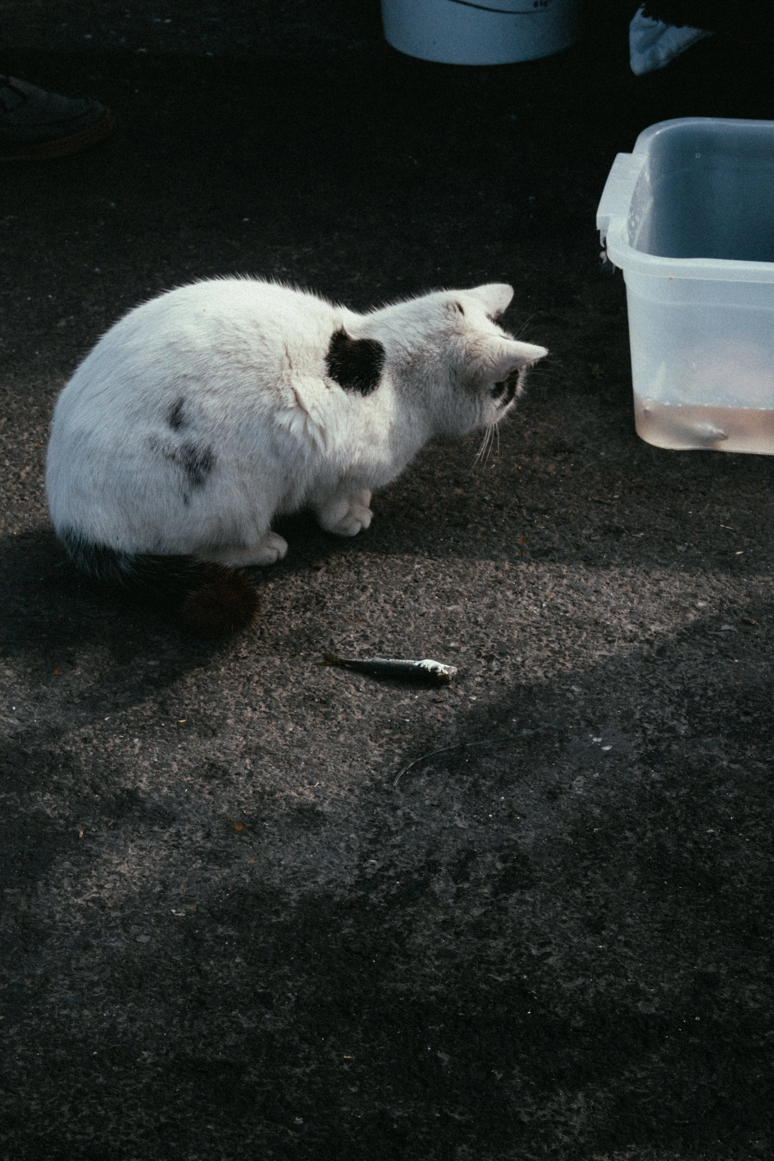 DSCF5567.JPG