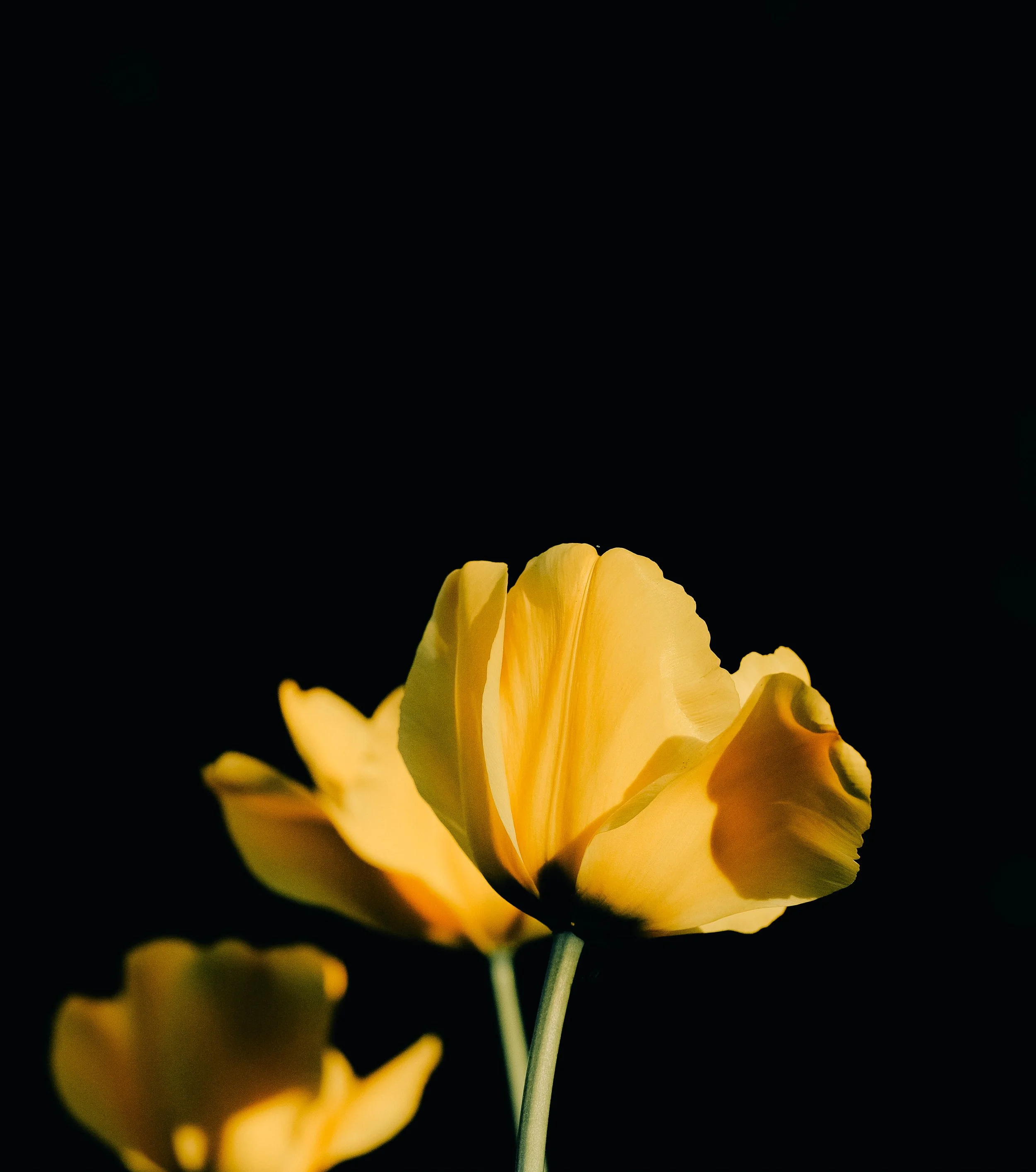 DSCF4080.jpg