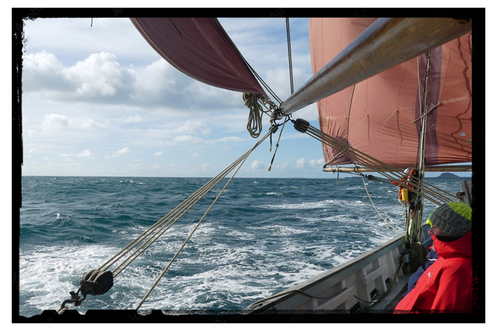 Provident guest crew looking out to sea