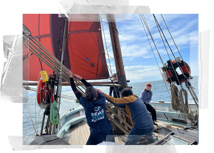 Provident Sailing School learning the ropes