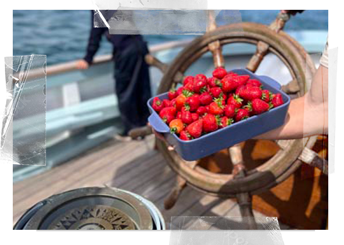 Fresh produce, strawberries from local suppliers