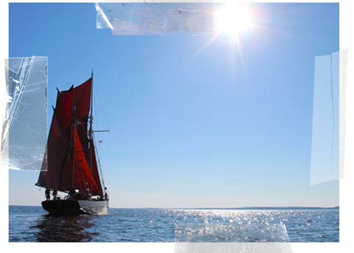 Provident Sailing into the sunset