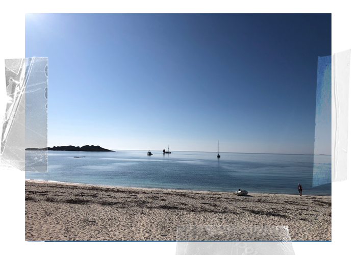Provident from the beach