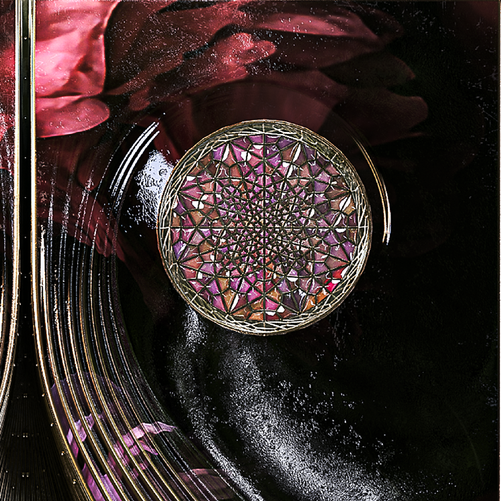 Her House - Poetic portrait of Amara inspired by the night-blooming cereus by Amittai Lee Antoine.