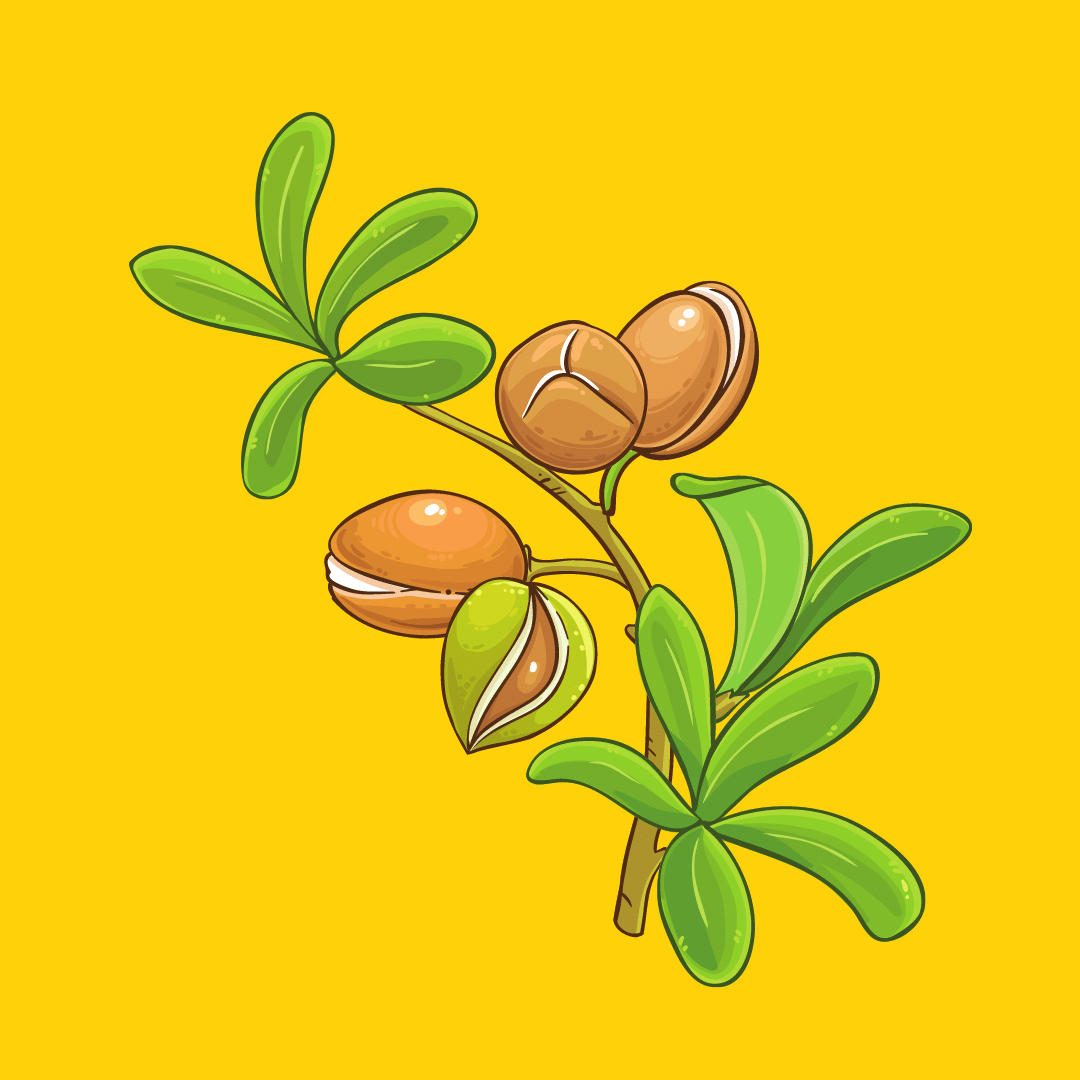 Olio di argan.png