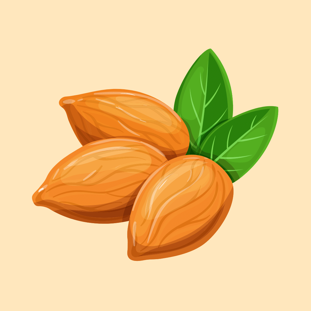Mandorle.png