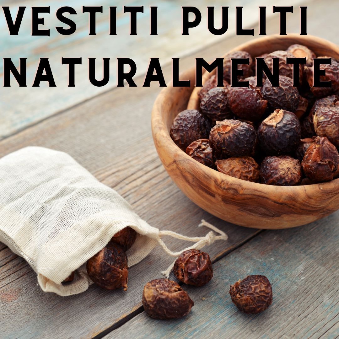 Noci di sapone per vestiti naturalmente puliti.jpg