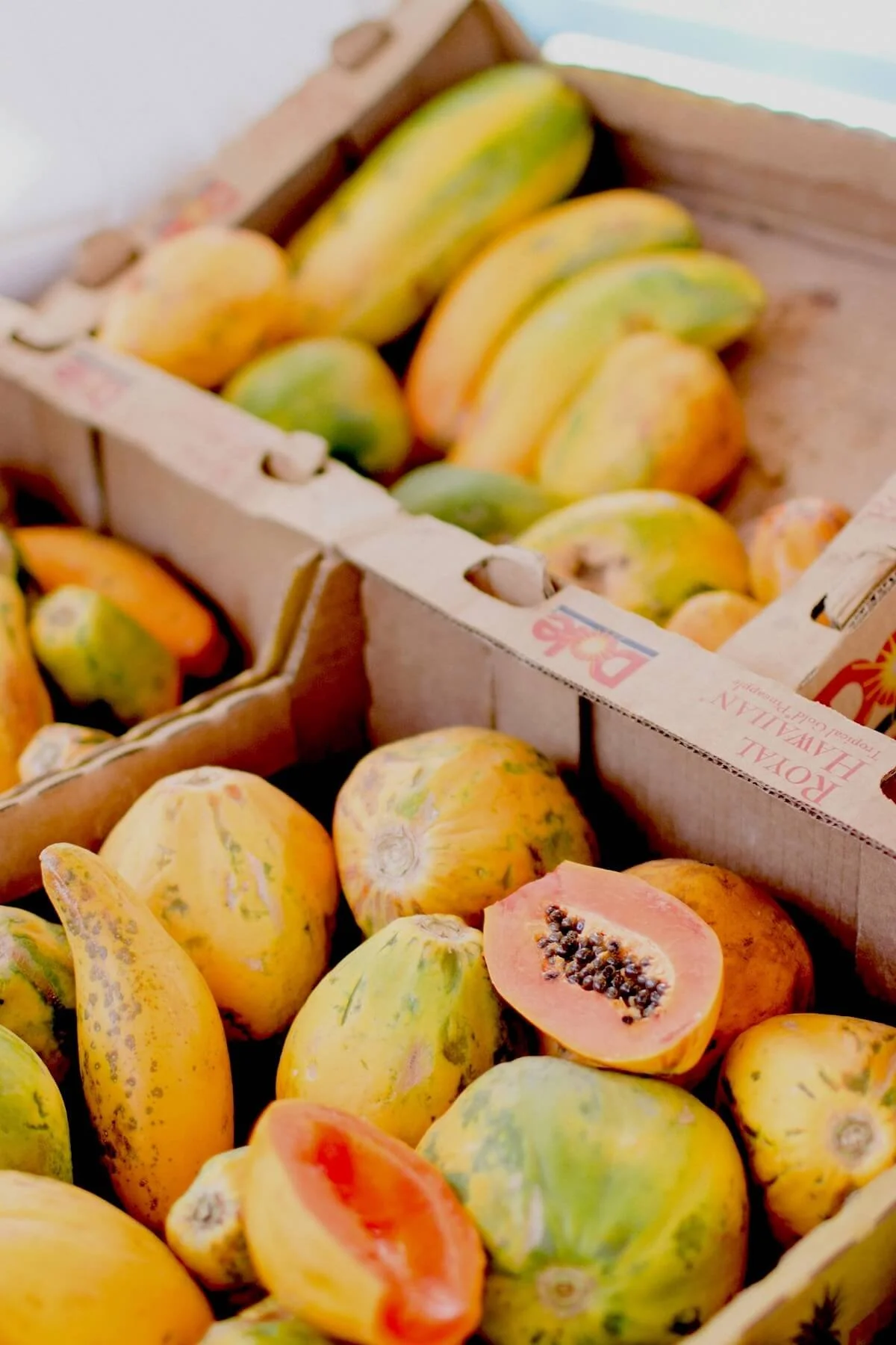 Turks and Caicos Culture